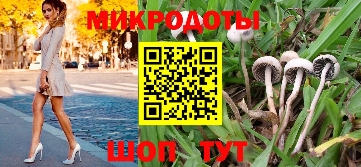 Псилоцибиновые грибы мухоморы Кировск