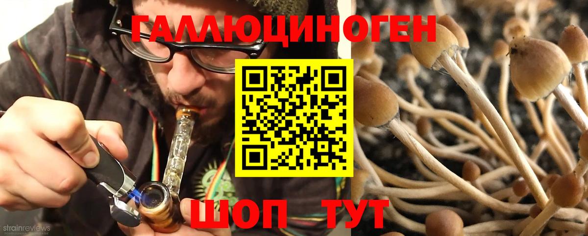 Псилоцибиновые грибы мицелий  Галлюциногенные грибы Magic Shrooms  Вход с VPN  Кировск 