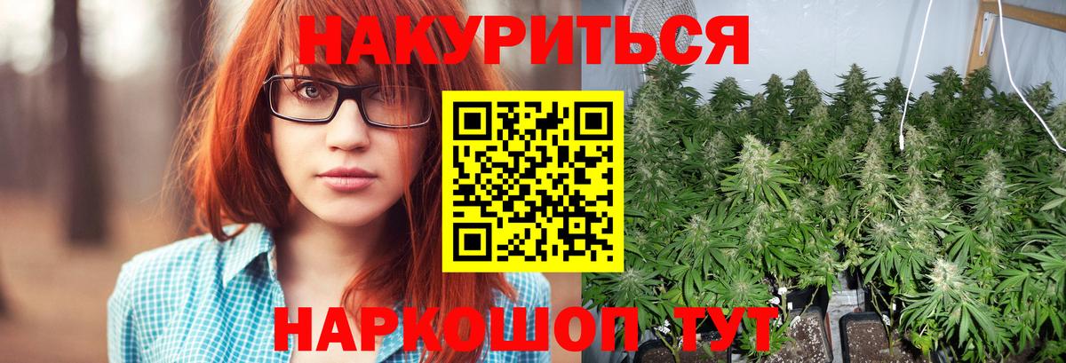 МАРИХУАНА сатива Кировск